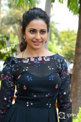 Rakul Preet Singh at Sarrainodu Movie Release Press Meet